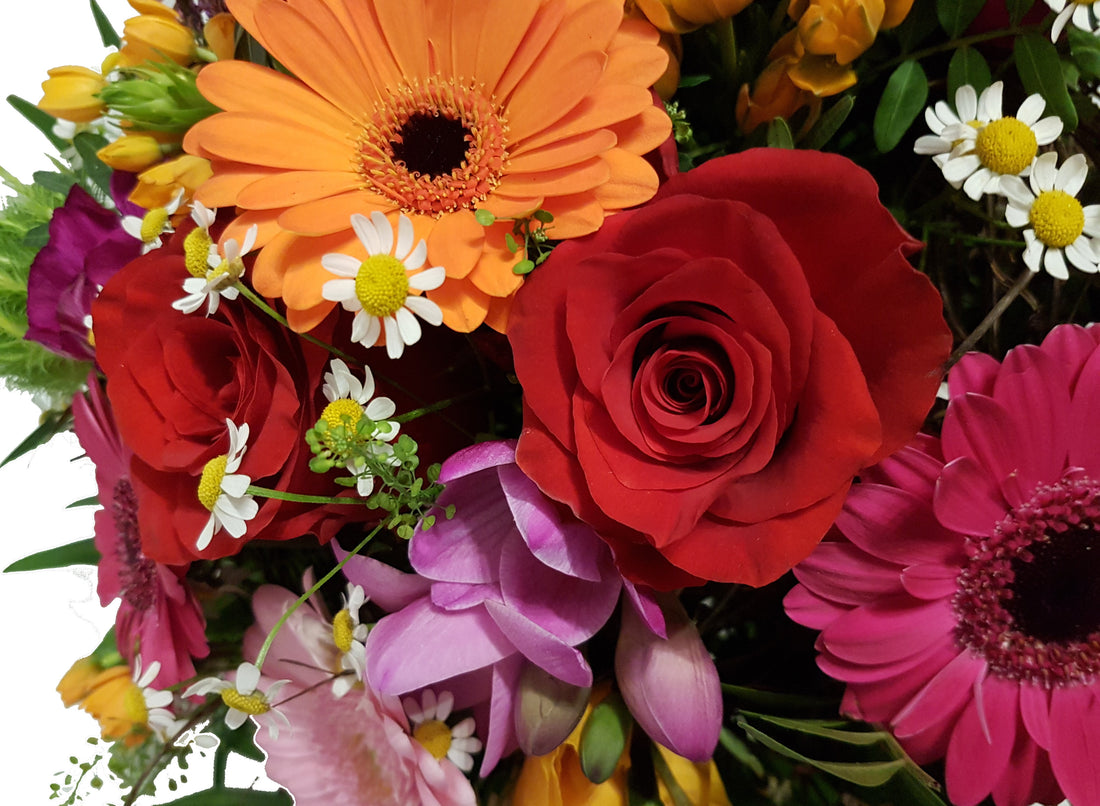 20181211_194621-aaaaa