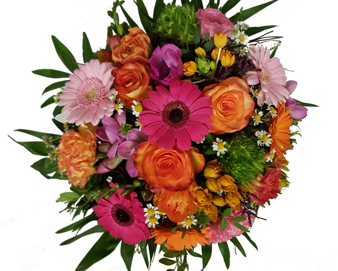 20181211_202137-aaaqVNOaTNvqVokX