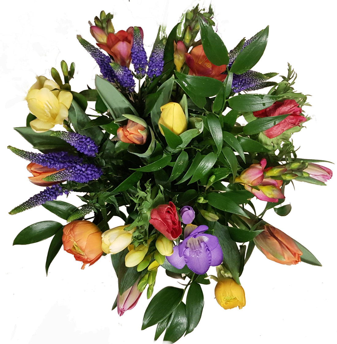 Zarter Frühling 