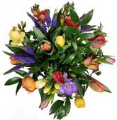 Zarter Frühling 