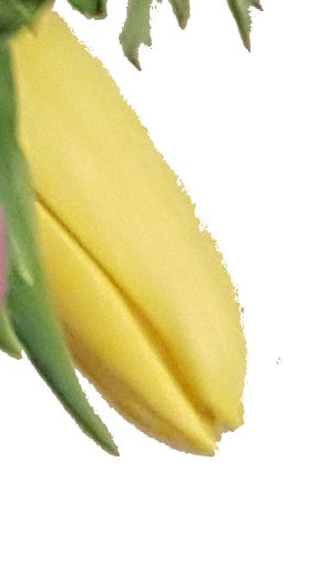 20190108_194008