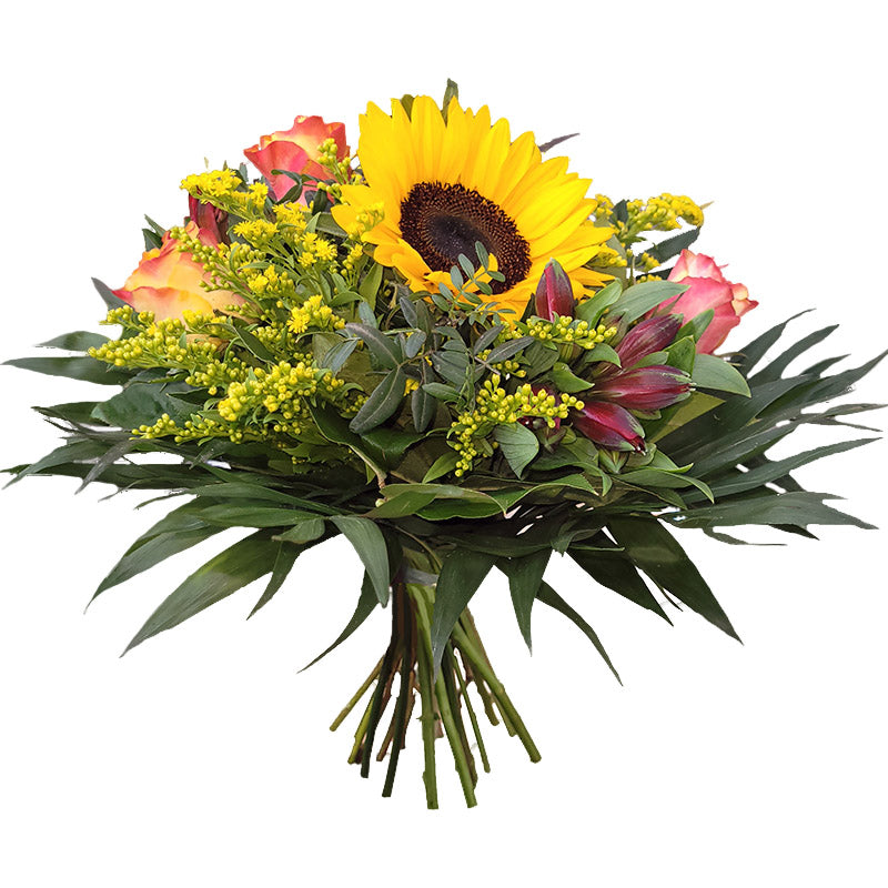 20220607_070319-Kopie