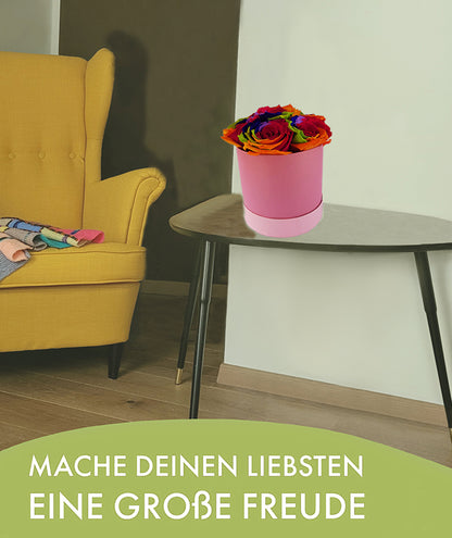 20220718_130050-Kopie-neuuuuu-Kopie-3