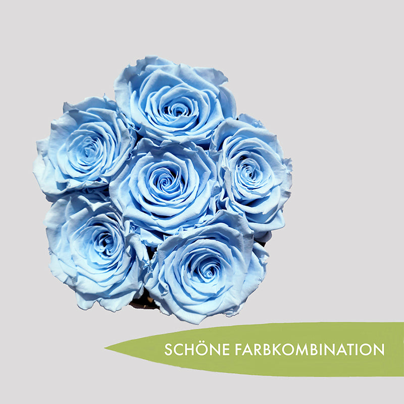 20220731_113303-Kopie