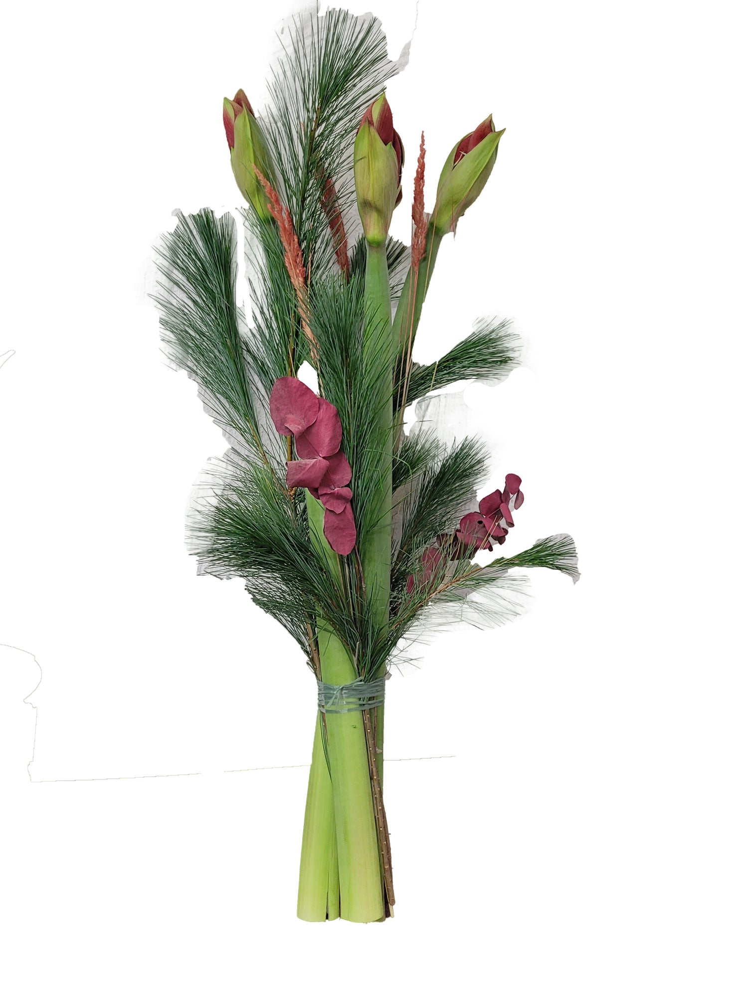 20221122_170305-1-Kopie