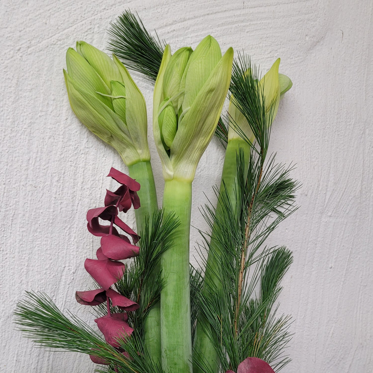 20221122_170744-Kopie