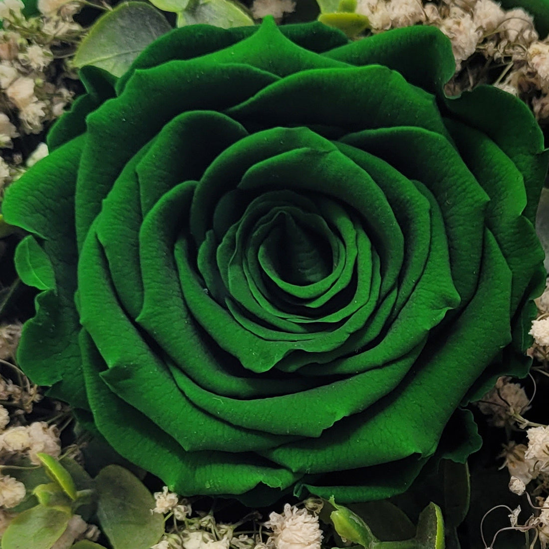 Ewiges Glück - Infinity Rose - als Geschenk