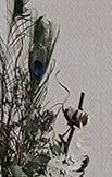 Trockenstrauß mit Eukalyptus und Pfaunenfedern