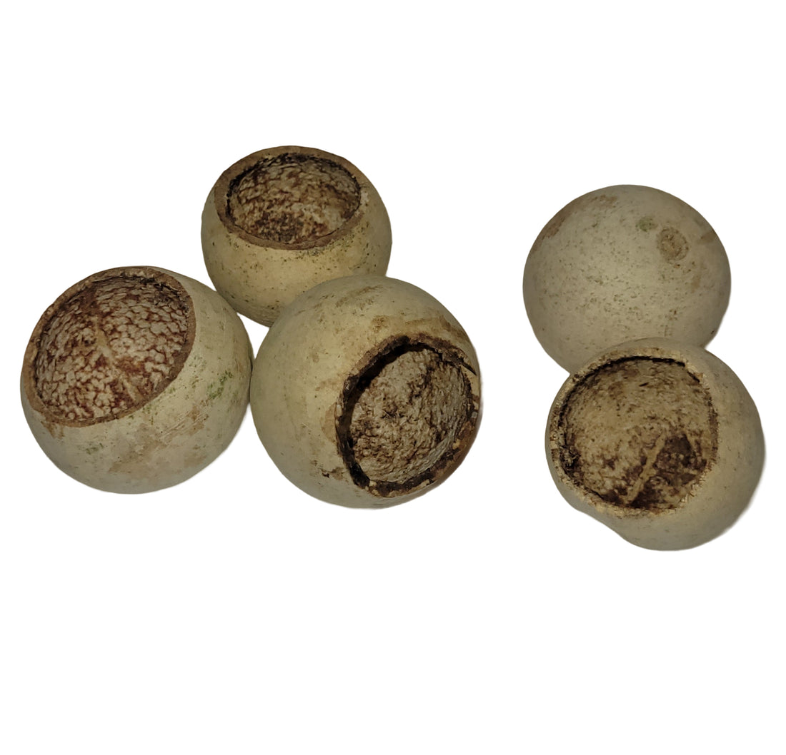 Trocken Bell Cup natur