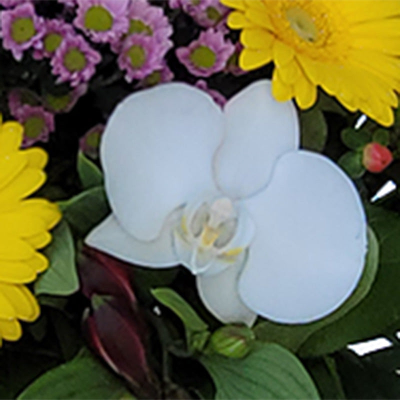 2820220607_113224-v-Kopie