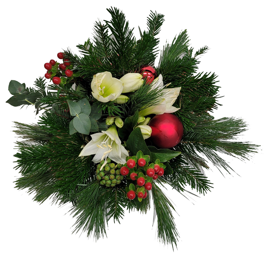 5-20221117_093409-Kopie