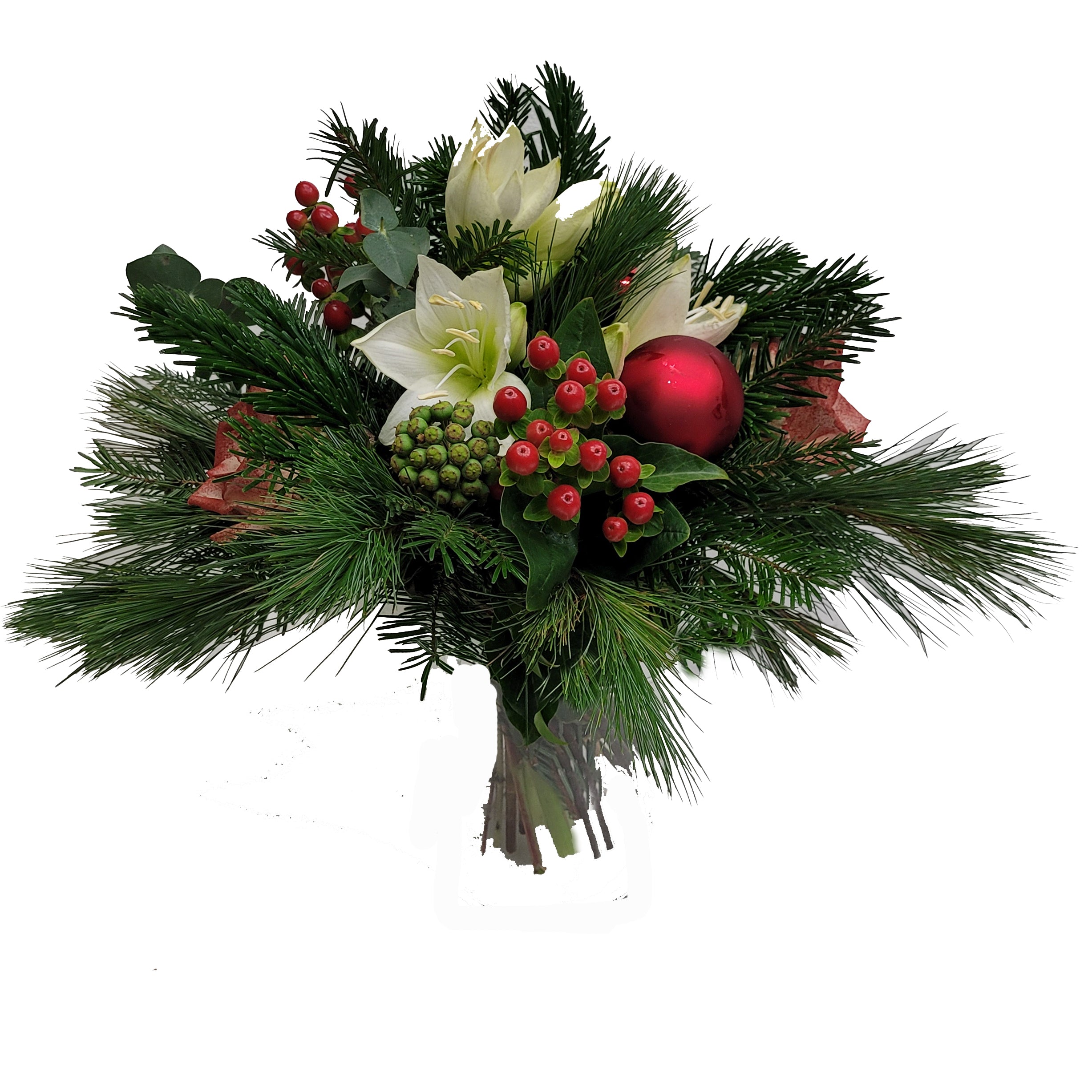 6-20221117_093422-Kopie