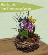 7b