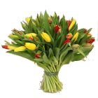 Frühlingsstrauß aus Tulpen 