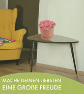 AAAAA-Kopie11
