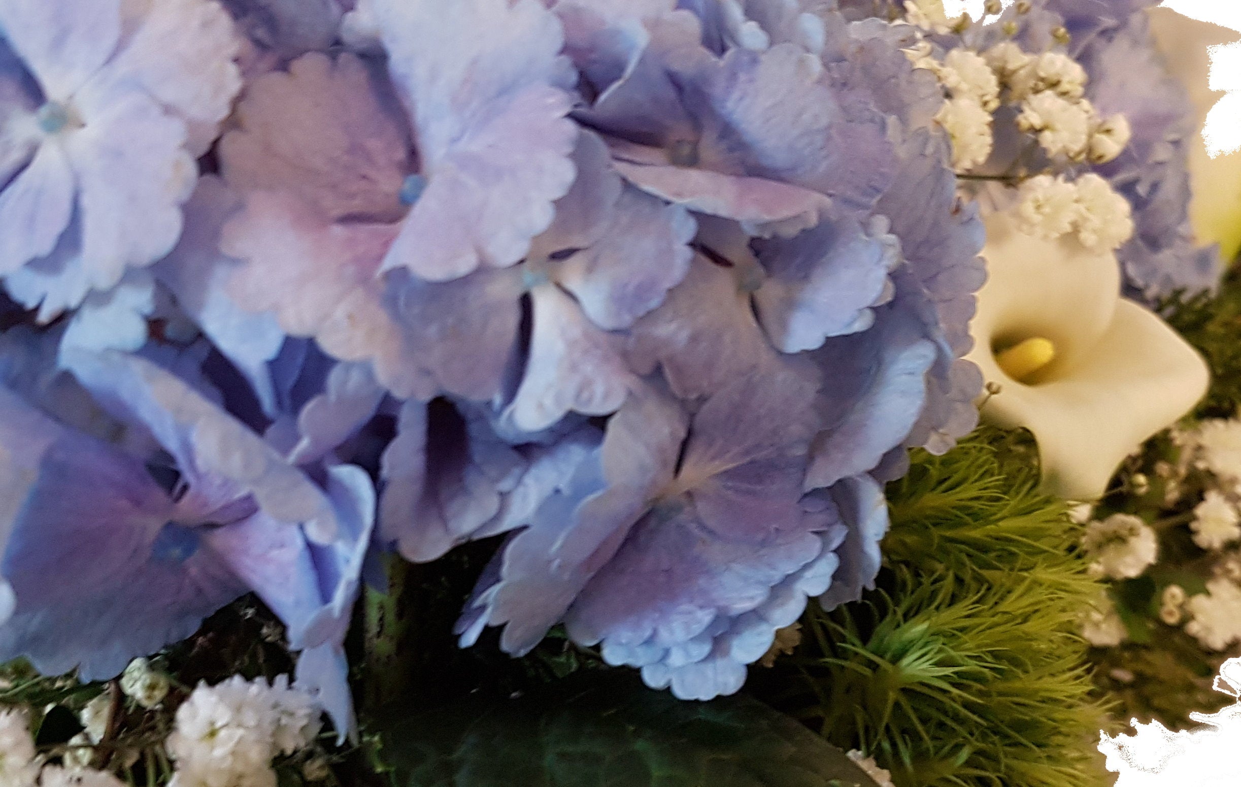 FrischeBlumen Bestattung Hortensie Blau und Calla Weiss