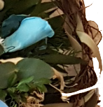 Gesteck mit Blauen ewigen Rosen zur Beisetzung - Trauergesteck Herz mit Schleife - Asymetrisch mit Naturmaterialien vom Floristen gefertigt