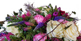 Herz-rosa