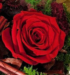 Herz mit ewiger Rose