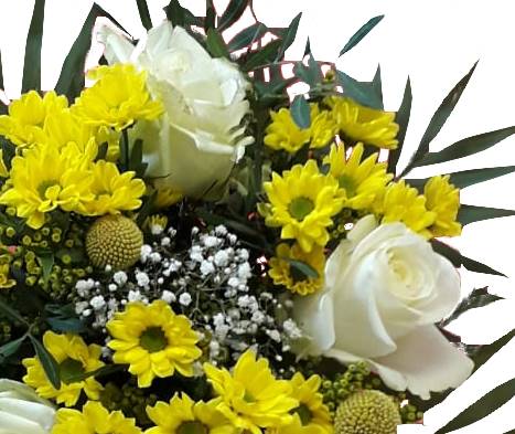 IMG-20210415-WA0014-1-ggnn-Kopie