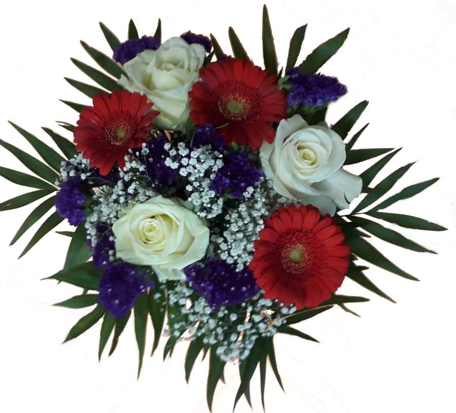 IMG-20210415-WA0026-1