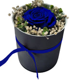 InfinityRose als Geschenk - Blau