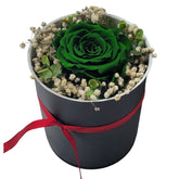 Grüne Ewige Rose im Gesteck als Geschenk