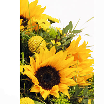 Wähle hier deine Trauerkarte aus