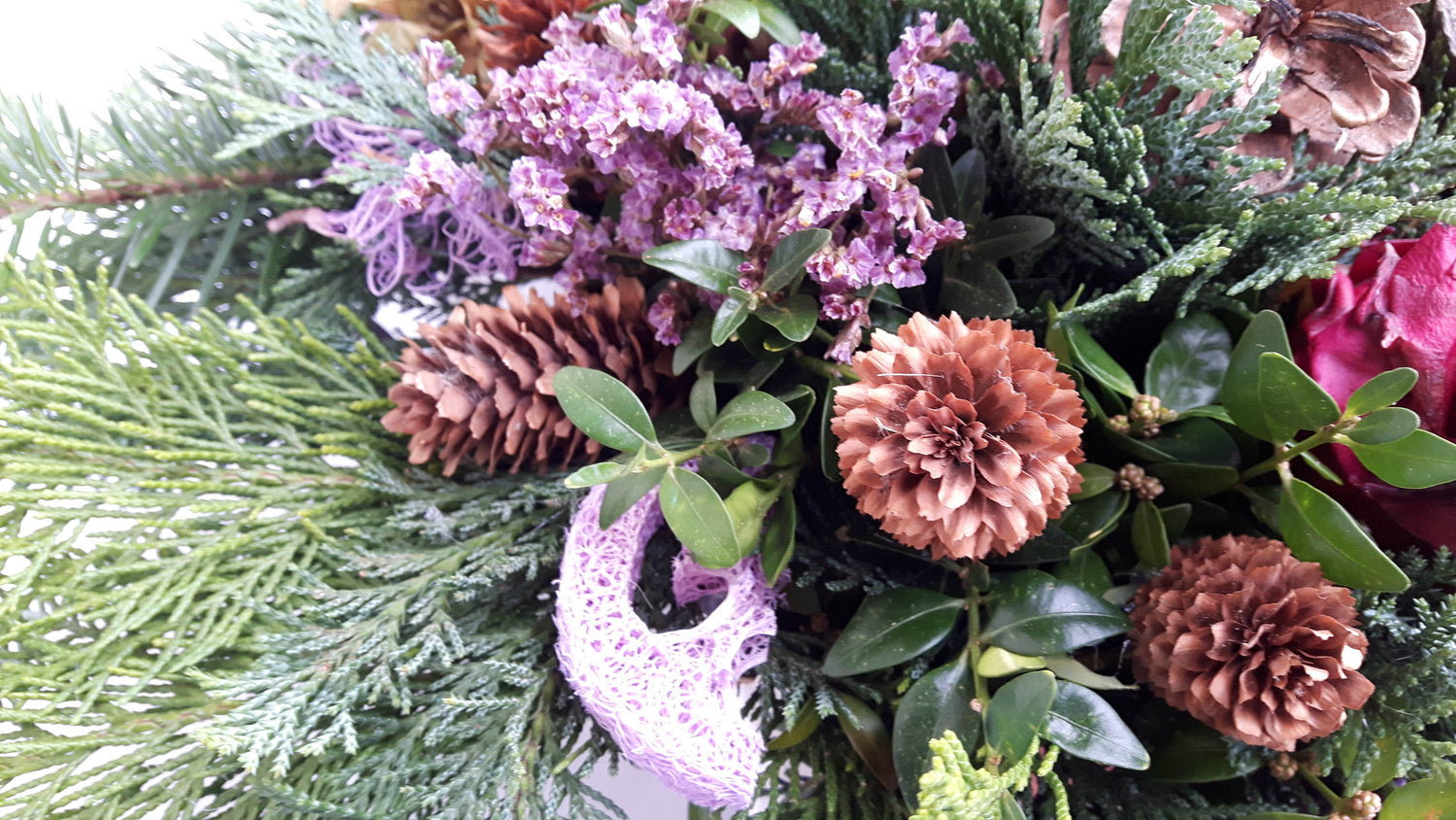 Schale Friedhof Natur