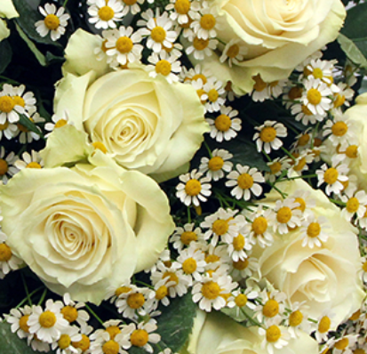 Screenshot_20200207-1740ff08-1