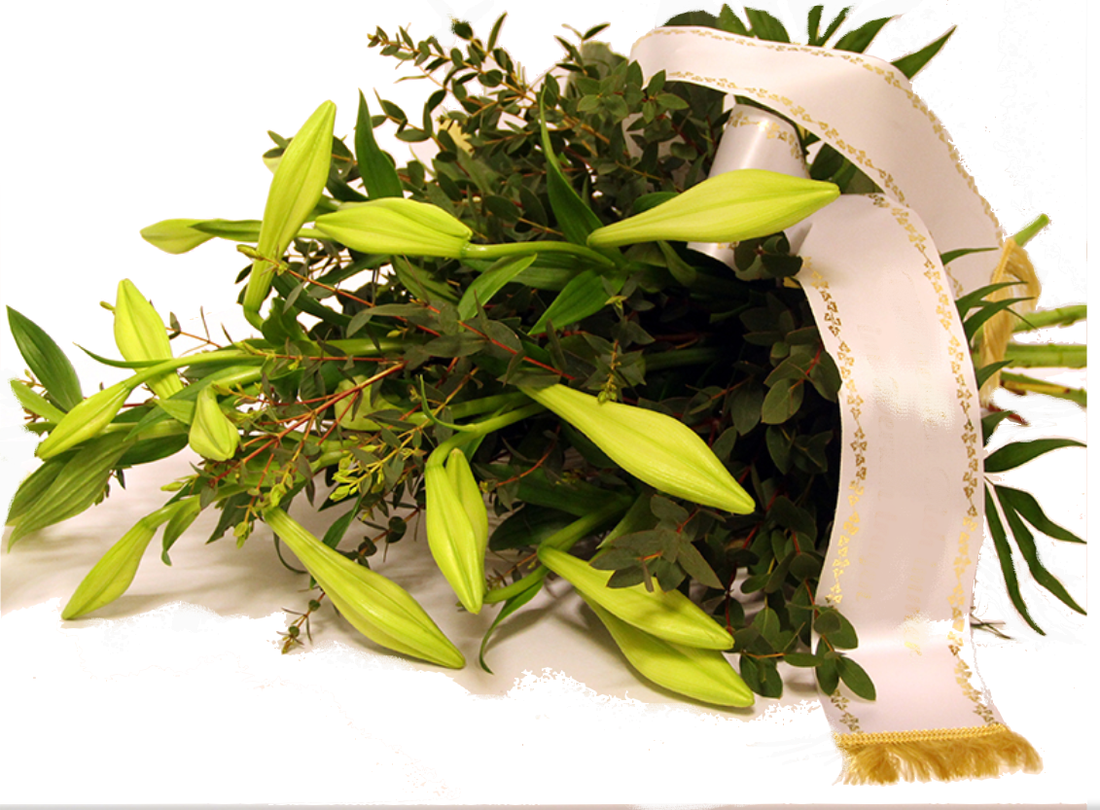 Screenshot_20200207-174439-1