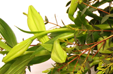 Screenshot_20200207-17f4439-1