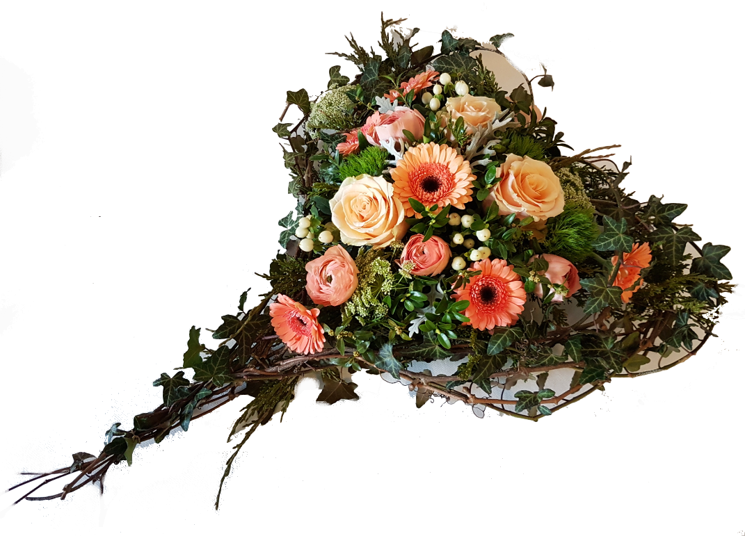 Screenshot_20200207-214045-1