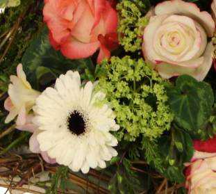 Screenshot_20200207-214229-1-fh