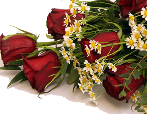 Screenshot_20200208-054400-2