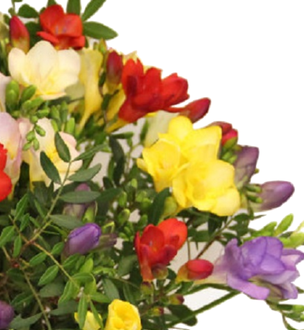 Screenshot_20200208-061509-9