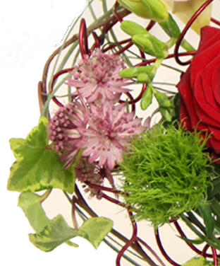 Screenshot_20200208-072738-1