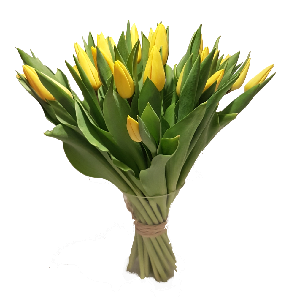 Screenshot_20200208-135000-1