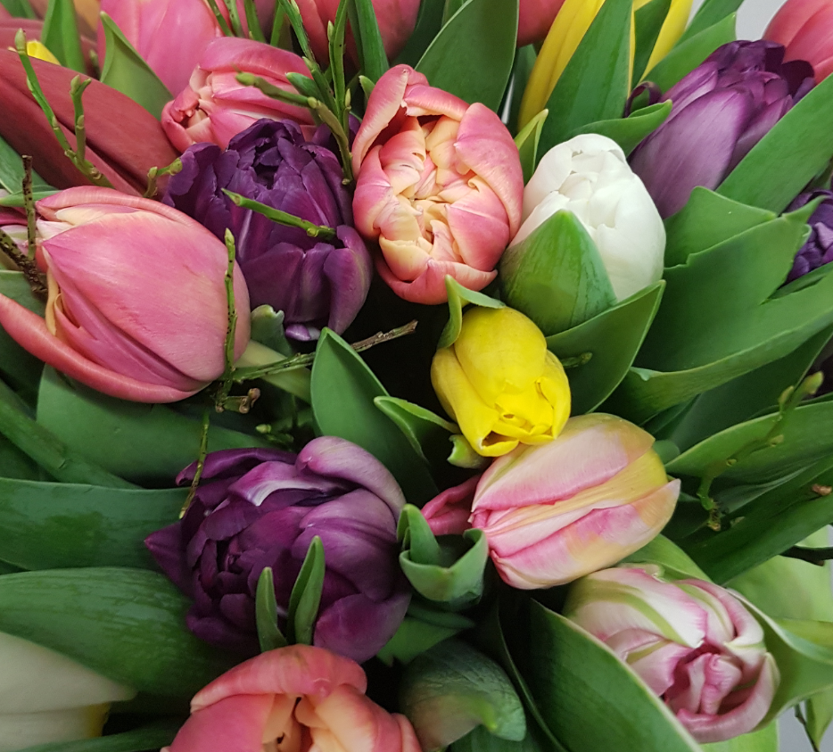 Screenshot_20200208-200616-1