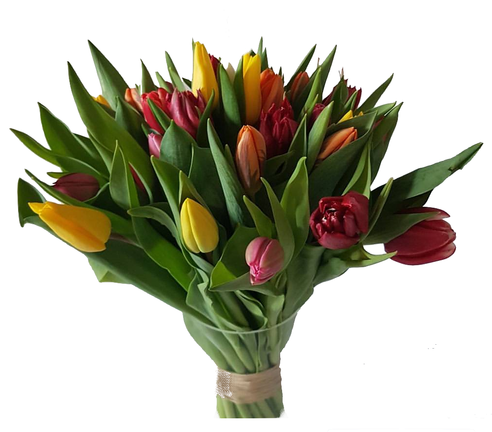 Screenshot_20200208-204030-1