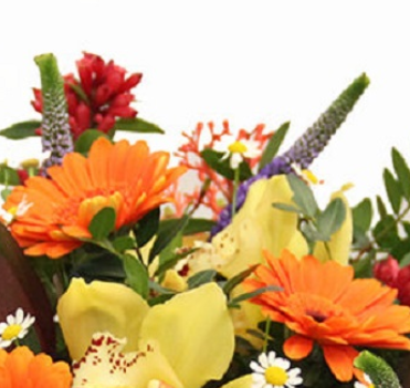 Screenshot_20200209-050318-1-d