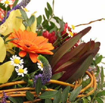 Screenshot_20200209-050318-1-f