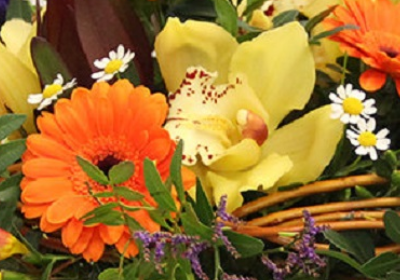 Screenshot_20200209-050318-1IZVo6fCCZ3sI0