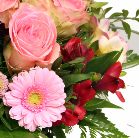 Screenshot_20200209-052528-11