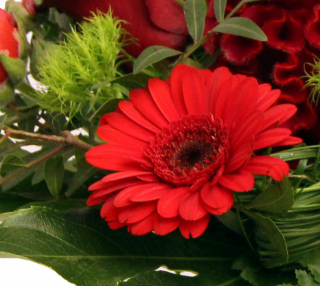 Screenshot_20200209-053158-1