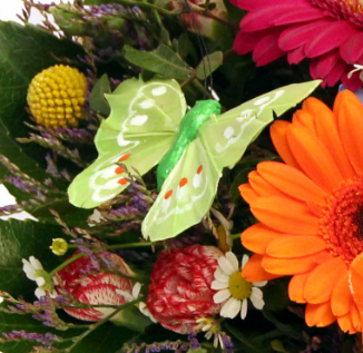 Screenshot_20200209-054112-1-f