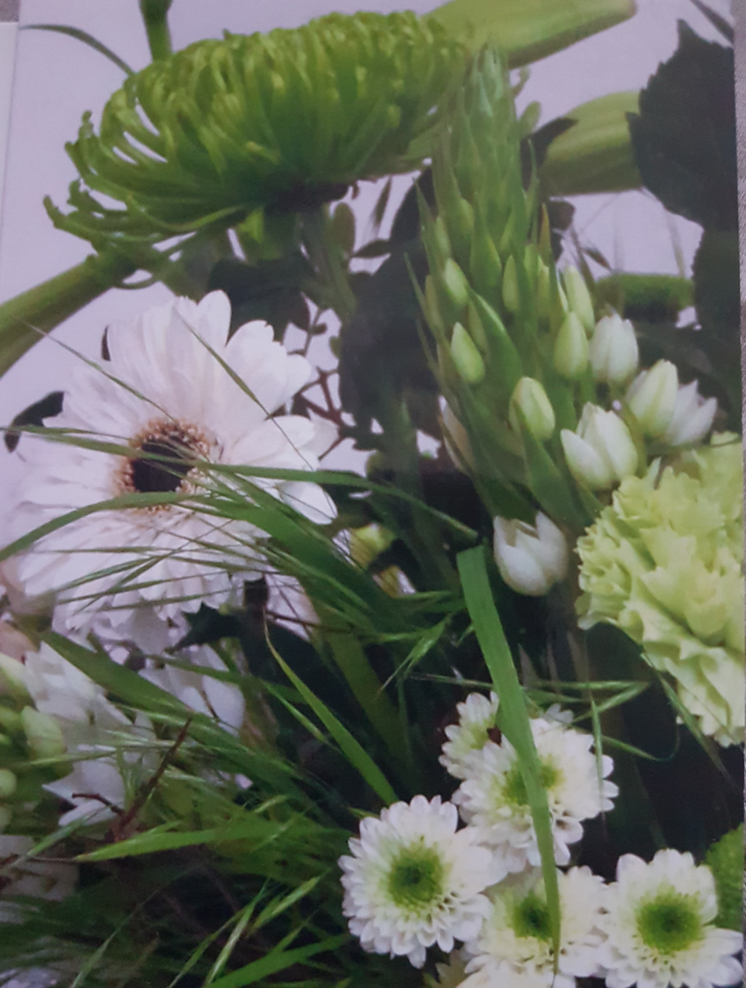 Screenshot_20200602-200527-weiss-02-06-20