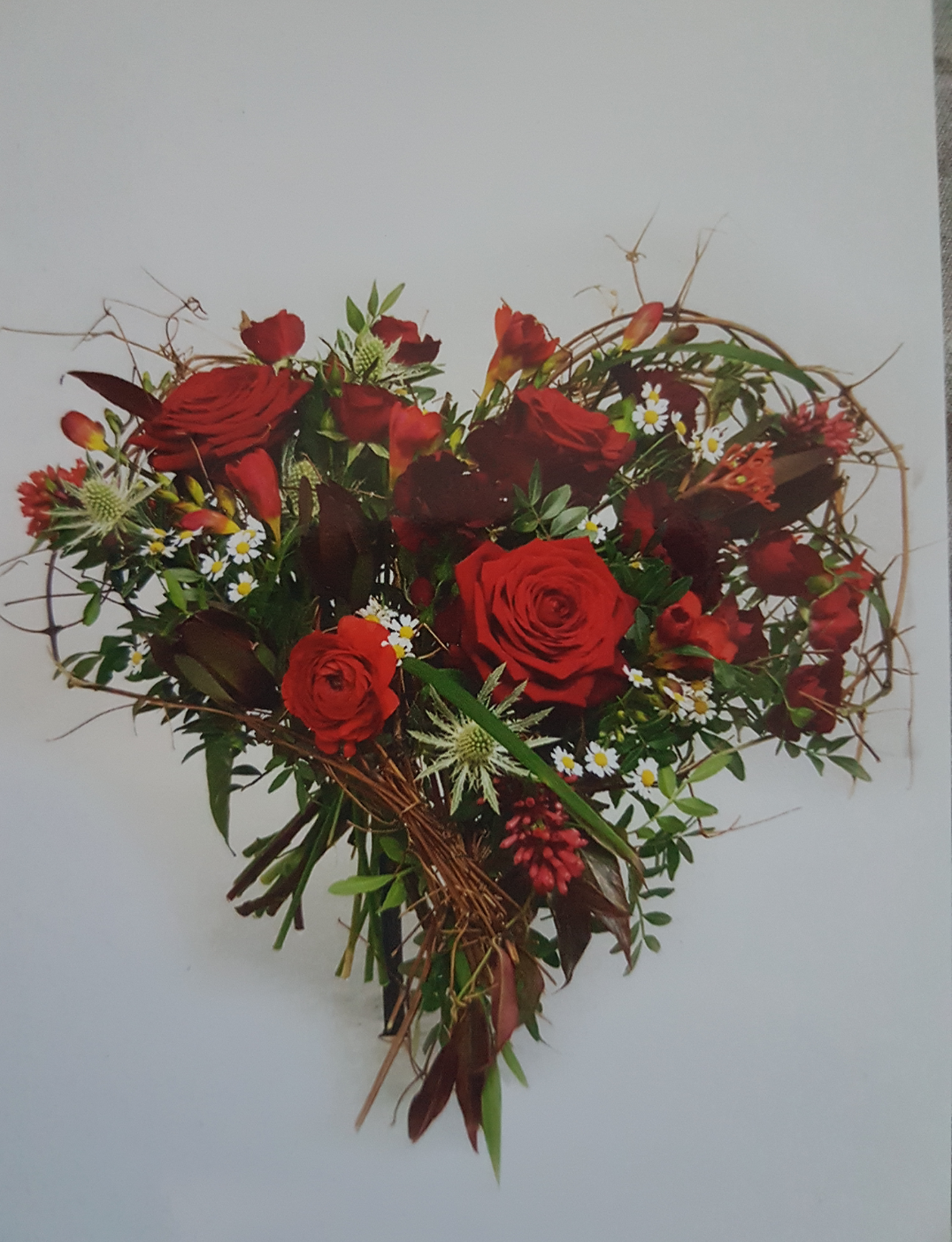 Screenshot_20200602-200541-herz