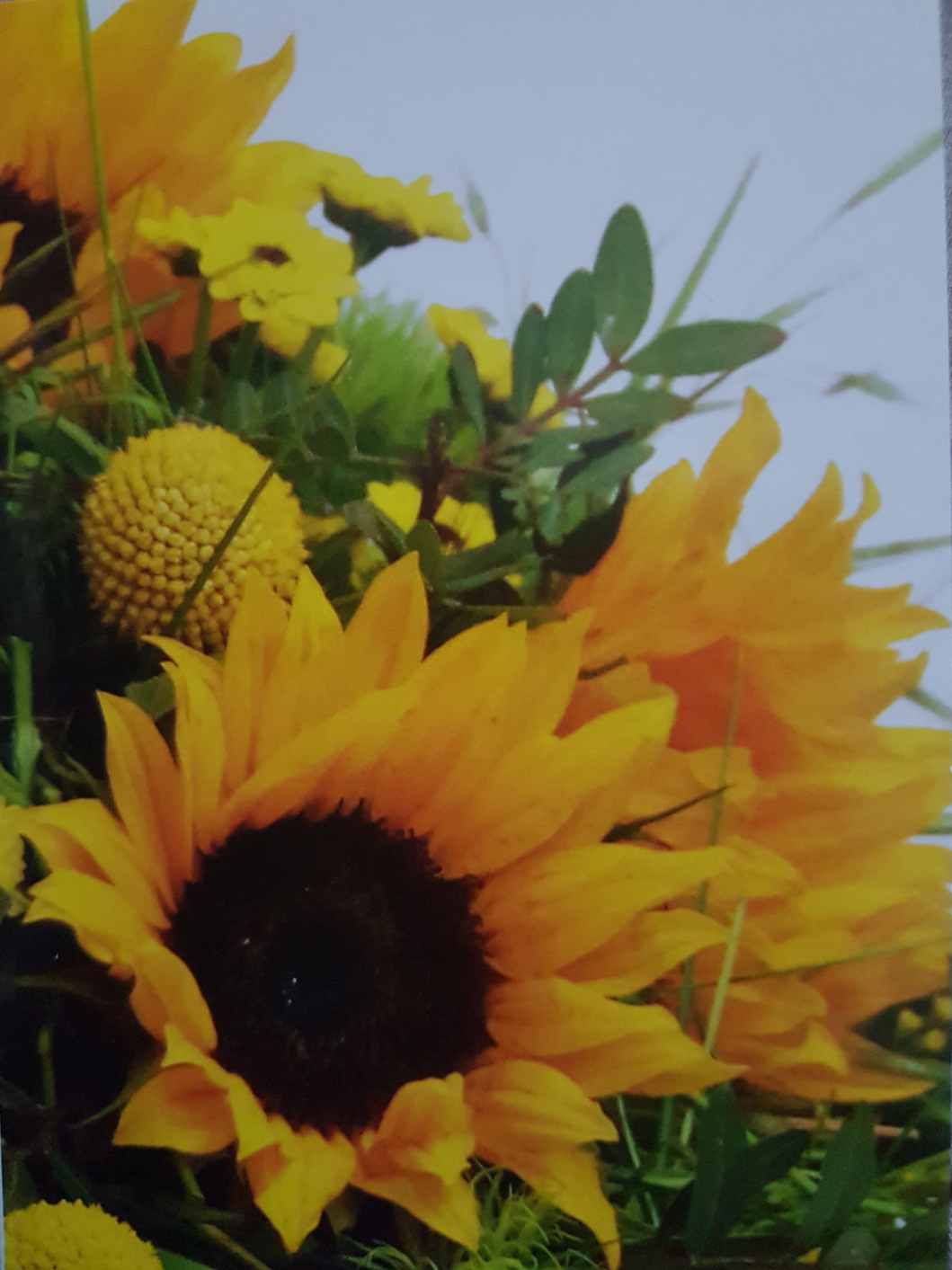 Screenshot_20200602-200652-10x15-SB