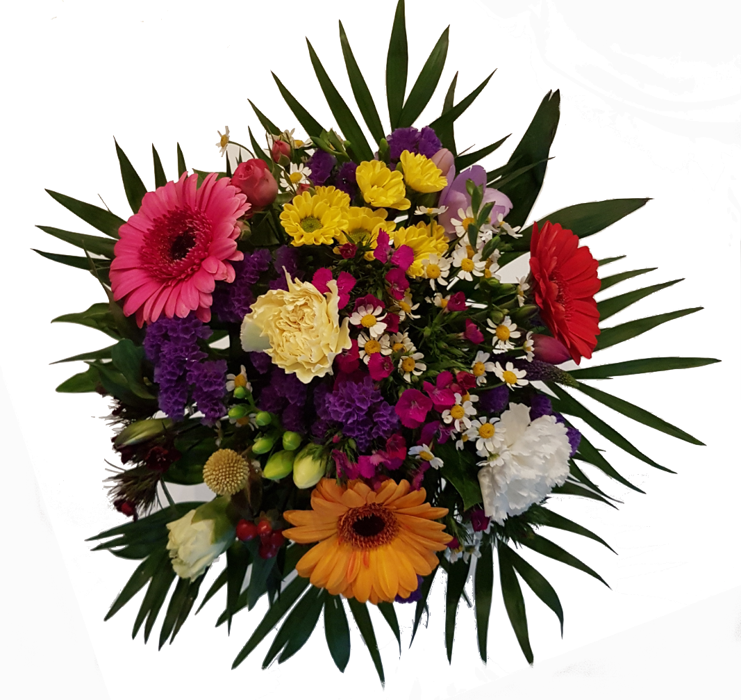 Screenshot_20200605-061526-1